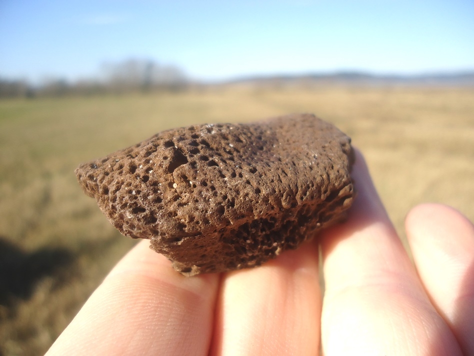 Large image 4 Rare Glyptodon Tail Scute