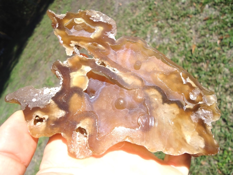 Large image 2 Gorgeous Translucent Agatized Coral Geode