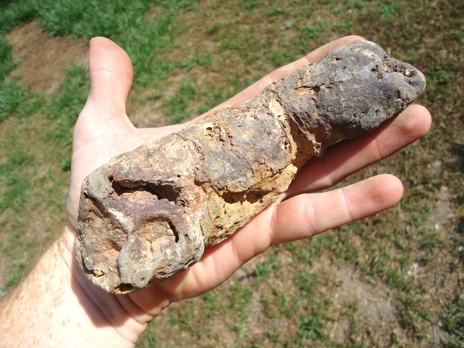 Large image 3 Massive Coprolite