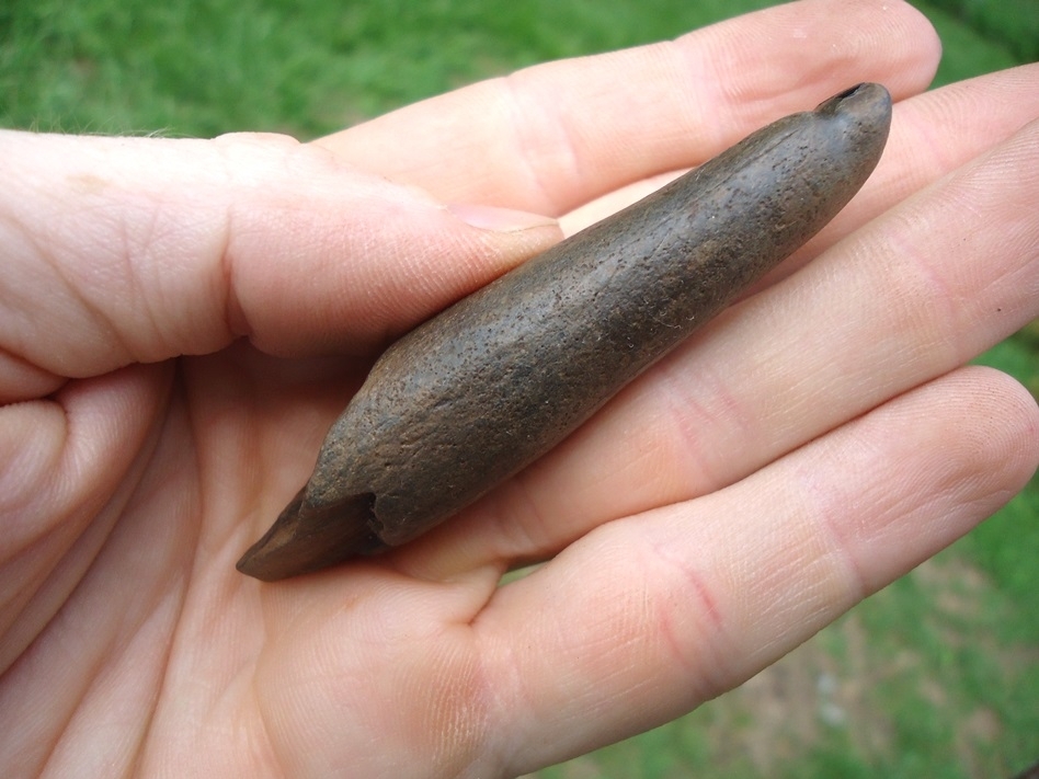 Large image 4 Very Rare Juvenile Mastodon Lower Tusk