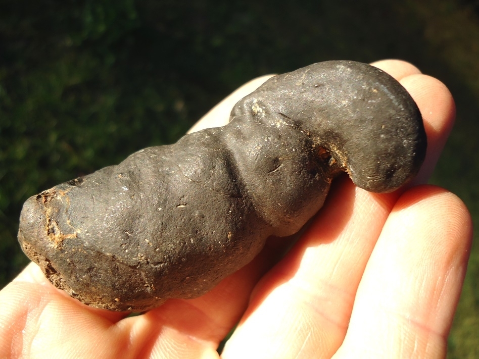 Large image 4 Super Detailed Coprolite (Fossil Poop)