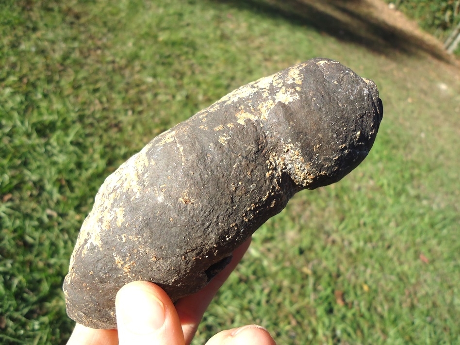 Large image 4 Absolutely Massive Coprolite