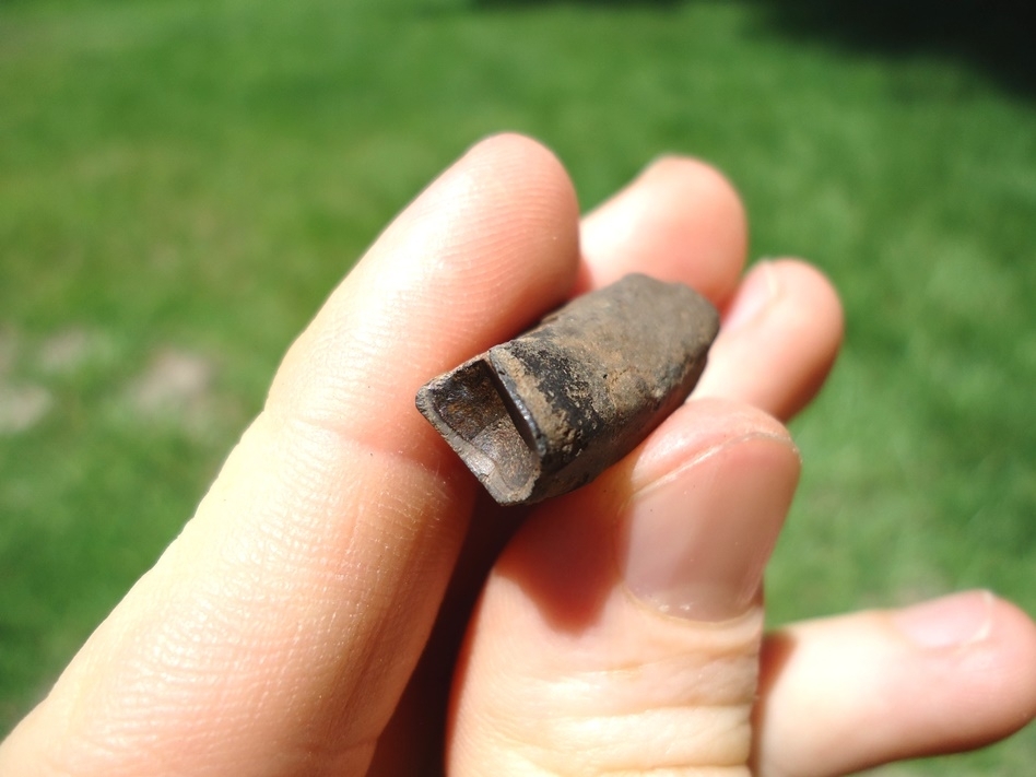 Large image 3 Uncommon Juvenile Sloth Tooth