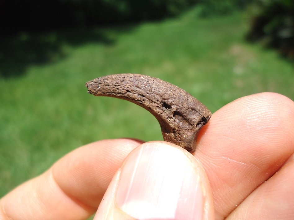 Large image 1 Rare Black Vulture Claw Core