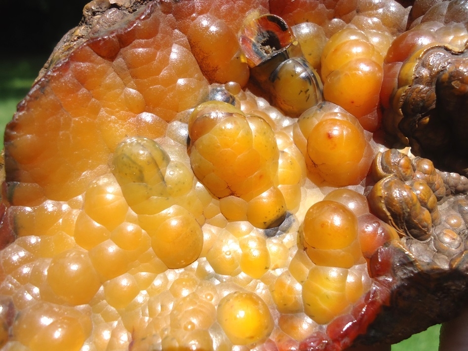 Large image 3 Gorgeous Agatized Coral Geode