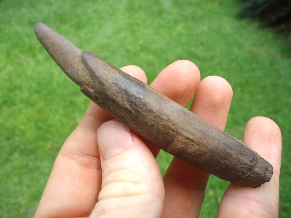 Large image 1 Nice Sperm Whale Tooth