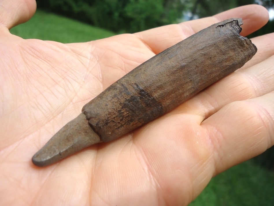 Large image 3 Nice Sperm Whale Tooth