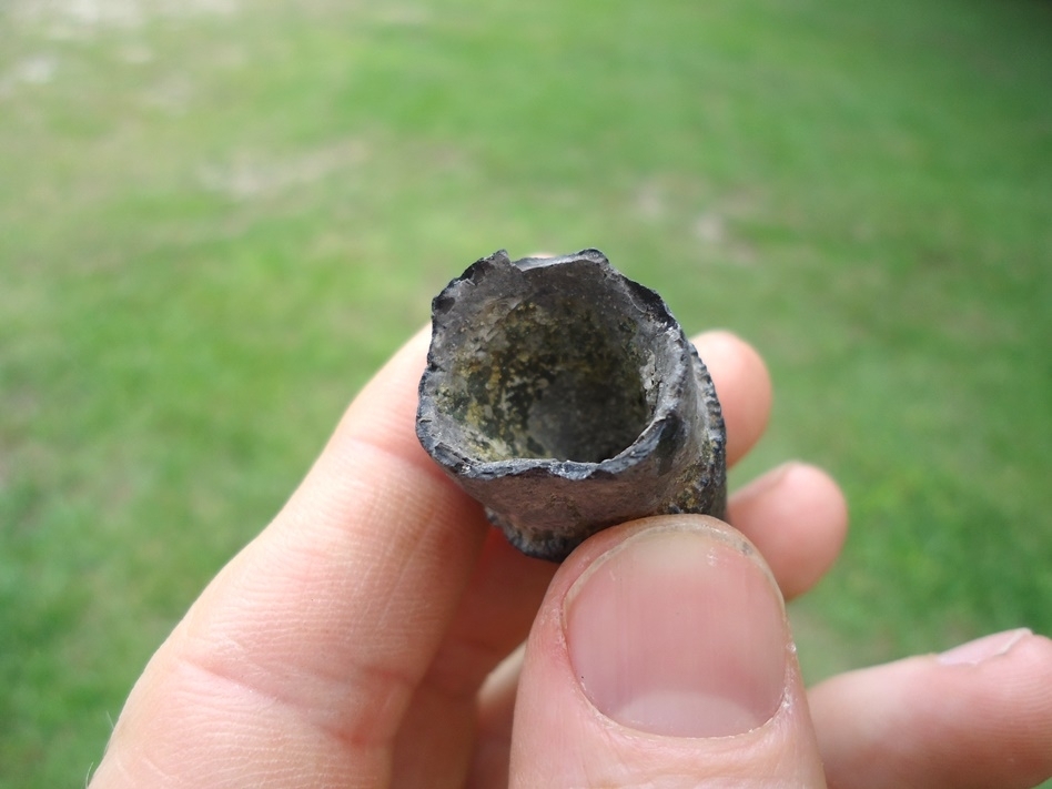 Large image 3 Very Uncommon Juvenile Sperm Whale Tooth