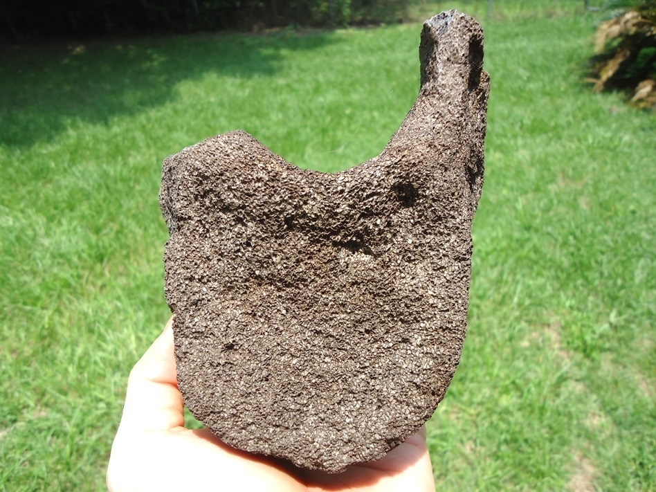 Large image 1 Bargain Mastodon Vertebra