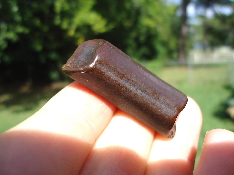 Large image 3 Very Attractive Mahogany Sloth Tooth