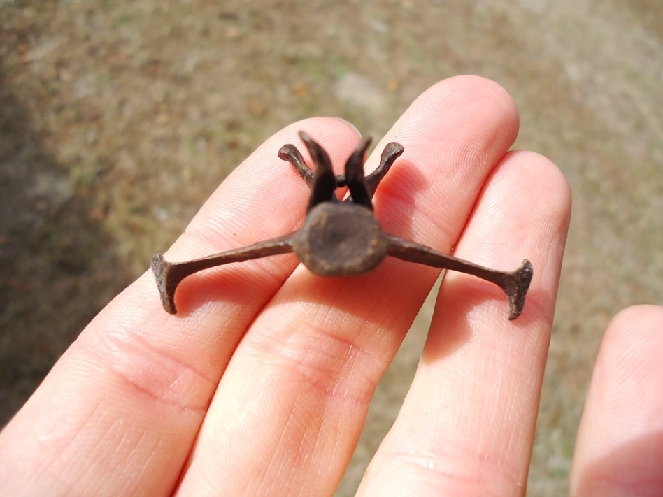 Large image 3 The Finest Armadillo Vertebra