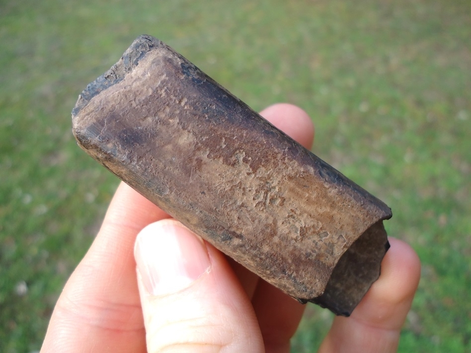 Large image 1 Quality Ground Sloth Tooth