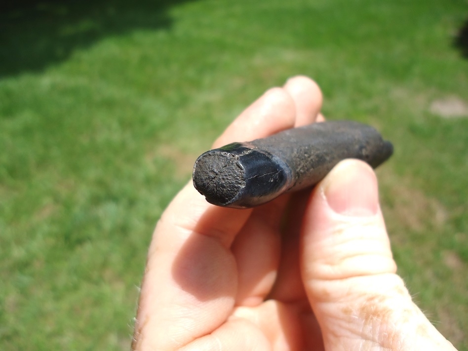 Large image 4 Museum Quality Juvenile Mastodon Lower Tusk