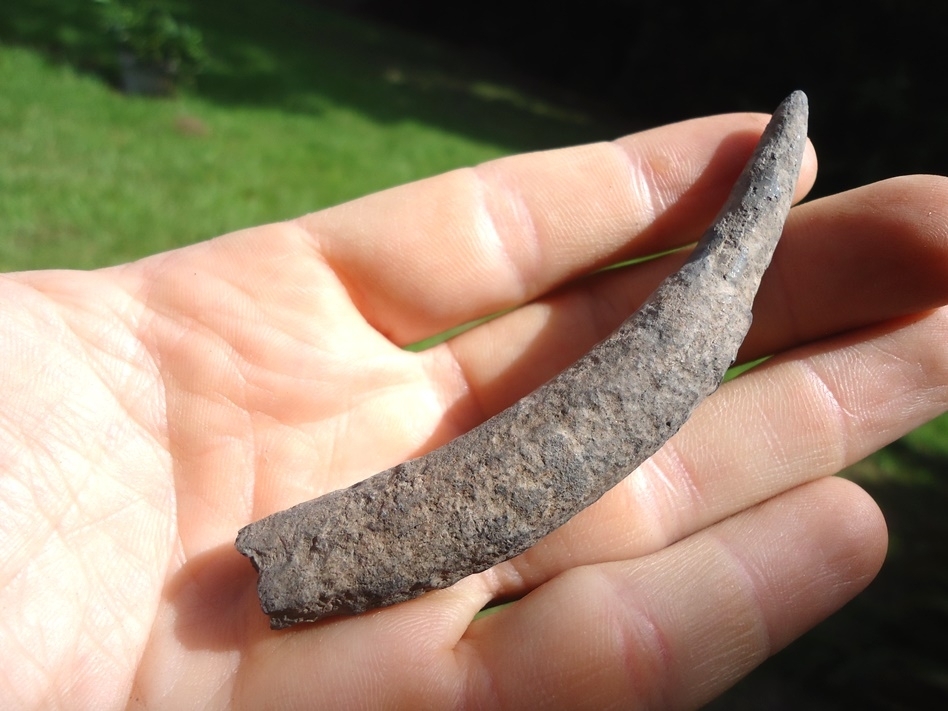 Large image 3 Quality Sperm Whale Tooth