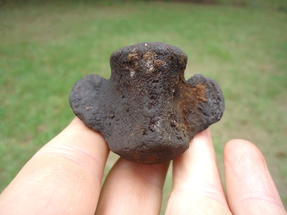 Large image 4 Excellent Sloth Caudal Vertebra