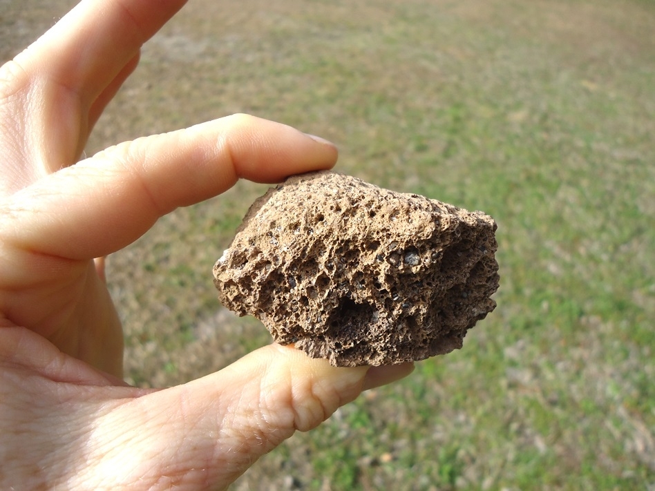 Large image 6 Monster Sized Glyptodon Spike Scute