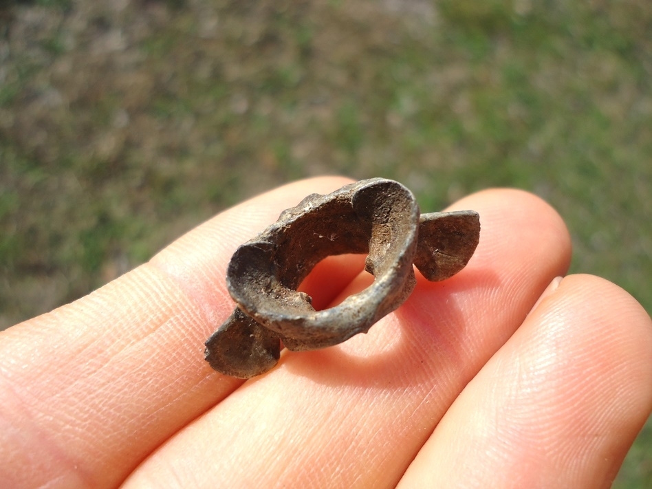 Large image 2 Uncommon Opossum Atlas Vertebra